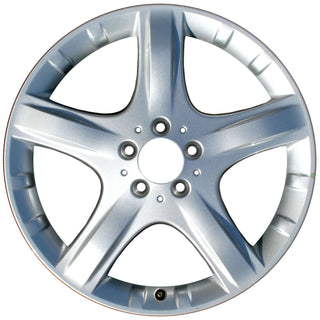 OEM Stock Wheels / Rims for Mercedes Benz Ml320 Ml350 Ml500 R320 R350 R550 | 65369 | 1664011202